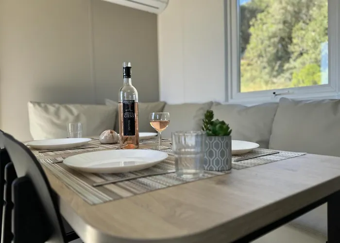 Le Laurier, Mobil-home Climatise Avec Vue Sur 度假居 耶尔